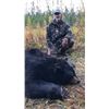 Image 1 : LEARN TO HUNT GIANT BLACK BEAR - $5,900 / EXHIBITOR