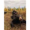 Image 3 : LEARN TO HUNT GIANT BLACK BEAR - $5,900 / EXHIBITOR