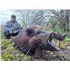 Image 3 : WILD BOAR IN SERBIA FOR 2 - $6,600.00 / EXHIBITOR