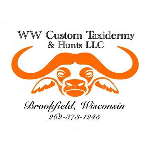 TAXIDERMY CREDIT FOR $500