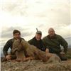 Image 2 : 3 - DAY EUROPEAN WOLF HUNT IN MACEDONA FOR 1 HUNTER - $7,500