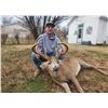 Image 2 : Whitetail Deer Archery - 5 Days for 1 Hunter - Kansas - Dirt Nap Outdoors LLC & Bell Wildlife