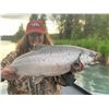 Image 3 : Alaskan Fishing Adventure - 3 Days for 2 Anglers - Alaska - Safari Unlimited LLC