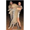 Image 1 : Leopard - 14 Days for 1 Hunter & 1 Non-Hunter - Mozambique - Roche Safaris