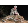 Image 2 : Leopard - 14 Days for 1 Hunter & 1 Non-Hunter - Mozambique - Roche Safaris