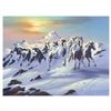 Image 1 : Horses in the Snow by Warren, Jim