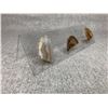 Image 3 : GENUINE AGATE ART DISPLAY RETAIL $349