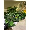 Image 2 : ASSORTED FAUX POTTED PLANTS