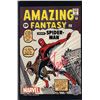 Image 1 : Stan Lee signed Amazing Spiderman Fantasy Comic