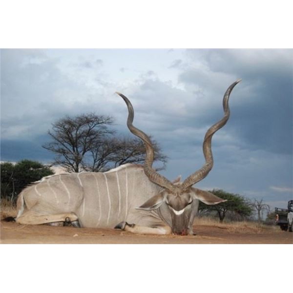 8-Day Plains Game Hunting Safari