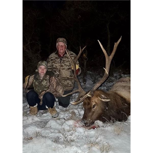 New Mexico Elk Hunt