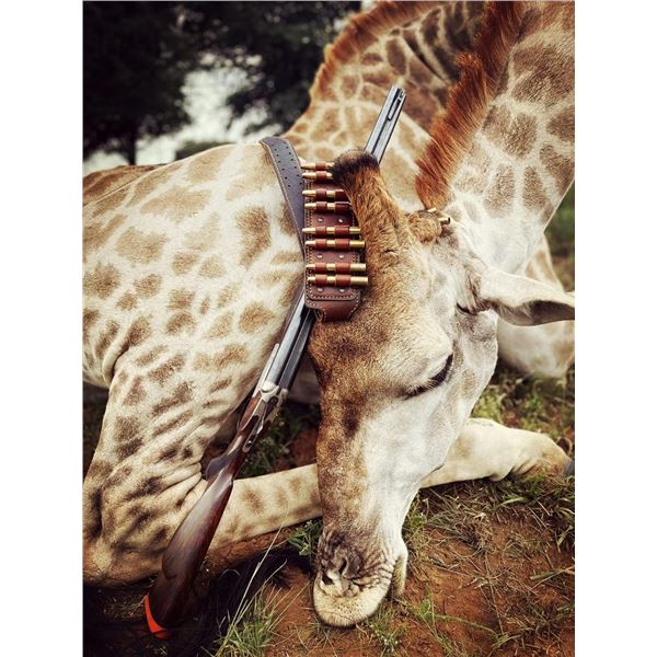 Giraffe Hunt with Vos and Co