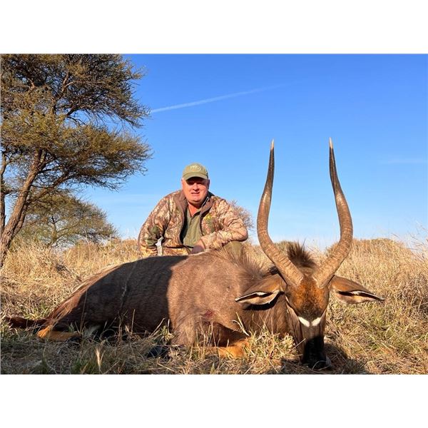 2 Nyala Bulls for 2 hunters with Monkane Safaris 2024 or 2025