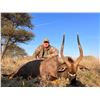 Image 1 : 2 Nyala Bulls for 2 hunters with Monkane Safaris 2024 or 2025