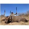 Image 2 : 2 Nyala Bulls for 2 hunters with Monkane Safaris 2024 or 2025