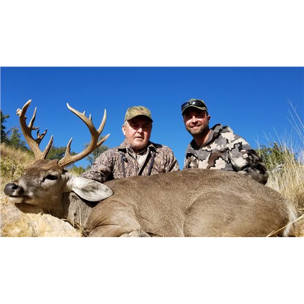 5-DAY COUES DEER HUNT FOR 2 HUNTERS (with free mountain lion bonus) in Arizona DIAMOND OUTFITTERS 20