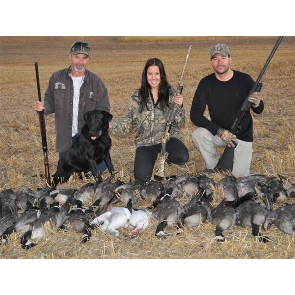 Waterfowl Hunt in Alberta with Sask Alta Waterfowl