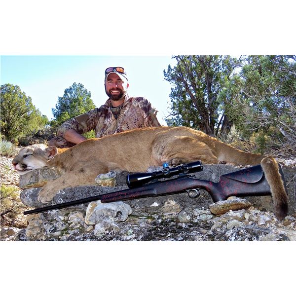 5-DAY TROPHY MOUNTAIN LION HUNT W/ HOUNDS ARIZONA with Dan Adler from DIAMOND OUTFITTERS