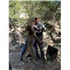 Image 2 : 5-DAY TROPHY MOUNTAIN LION HUNT W/ HOUNDS ARIZONA with Dan Adler from DIAMOND OUTFITTERS