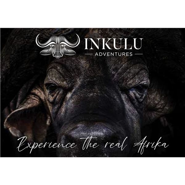 Cape Buffalo Hunt for 1 and 1 Observer with Inkulu Safaris