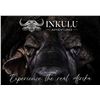 Image 1 : Cape Buffalo Hunt for 1 and 1 Observer with Inkulu Safaris
