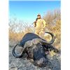 Image 3 : Cape Buffalo Hunt for 1 and 1 Observer with Inkulu Safaris