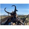 Image 2 : Wyoming Game and Fish Commissioner Tag