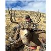 Image 3 : Wyoming Game and Fish Commissioner Tag
