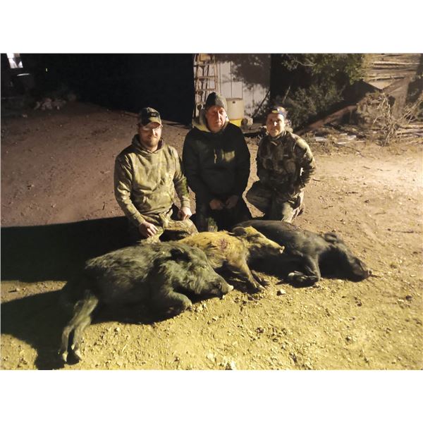 HUNT UNLIMITED HOGS IN TEXAS