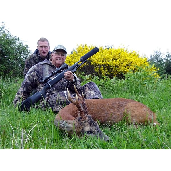 SPRING ROE DEER HUNT IN SCOTLAND