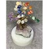 Image 2 : CHAKRA BONSAI TREE (BRAZIL) 5" RETAIL $489