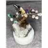 Image 2 : CHAKRA BONSAI TREE (BRAZIL) 5" RETAIL $489