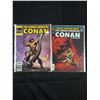 Image 2 : Vintage DC Comics "Conan Saga" On Board In Bag