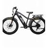Image 1 : Bakcou Flatlander E-Bike in Matte Black