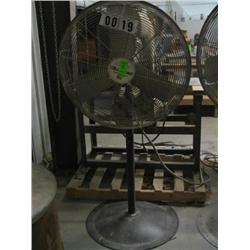 LAKEWOOD, PEDESTAL FAN