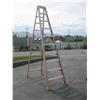 Image 1 : 10' F/G STEP LADDER