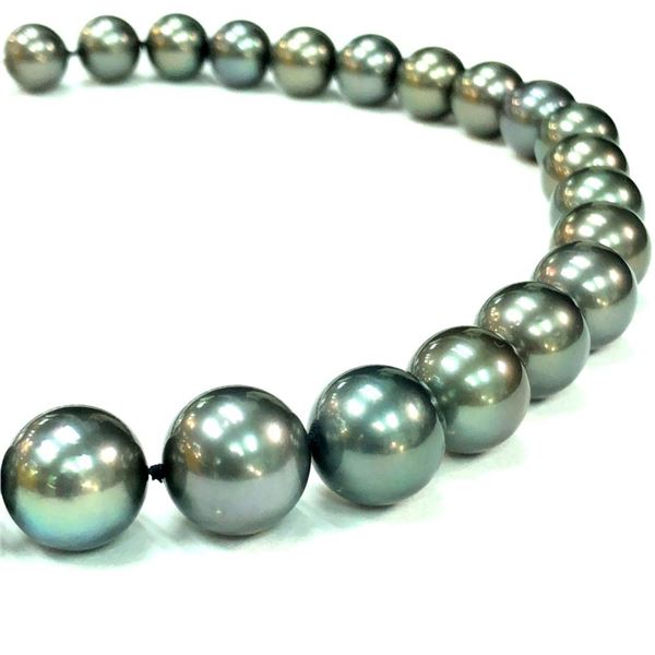 Shimmering Dark Gray Tahitian Pearl Strand