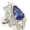Image 2 : Dramatic Tanzanite Ring & Paisley Diamond Frame