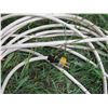Image 3 : Electric extension cord approximately 60 feet