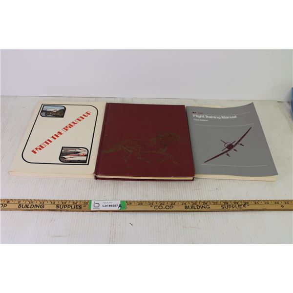 Lot of Book Flight Training Manual and More