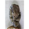 Image 4 : (3) Geodes
