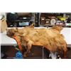 Image 1 : Cinnamon Bear Rug