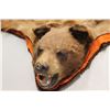 Image 2 : Cinnamon Bear Rug