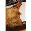 Image 4 : Cinnamon Bear Rug