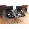 Image 1 : *(2) Folding Chairs