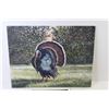 Image 2 : Painting of Turkey on Board (signed - 18" x 14") - Unicorn Prints