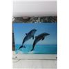 Image 3 : Dolphin Moving Picture Light (Working)