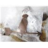 Image 1 : 5-Dog Weather Vanes - 5 X $