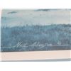 Image 3 : Framed Wall On The Bayou Artist Signed & Numbered