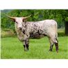 Image 1 : Moo-Donna